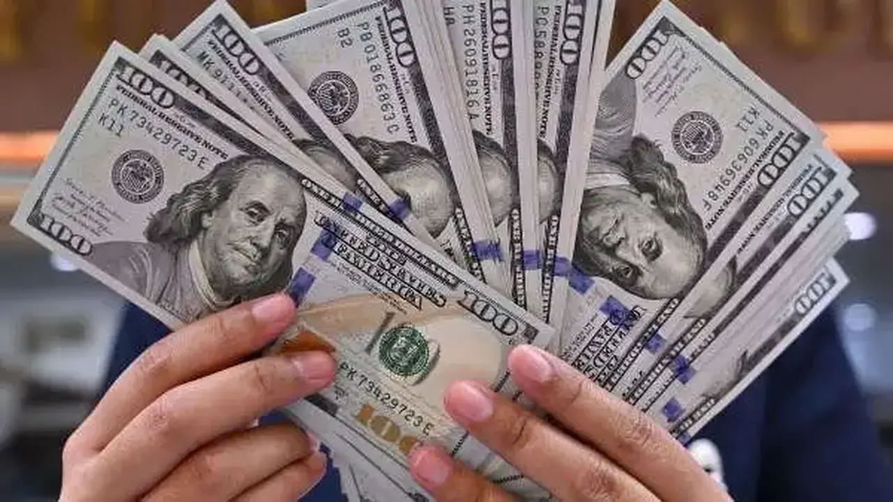 ثبات سعر الصرف.. تحركات الدولار مقابل الجنيه المصري في تعاملات الثلاثاء بمستهل فبراير